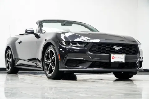 More photos of 2024 Ford Mustang EcoBoost Premium at Carvilla, GA