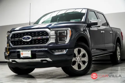 Unknown 2021 Ford F-150 Platinum for sale in Kennesaw, GA