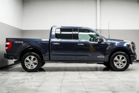 More photos of 2021 Ford F-150 Platinum at Carvilla, GA