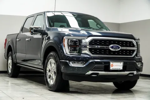 More photos of 2021 Ford F-150 Platinum at Carvilla, GA