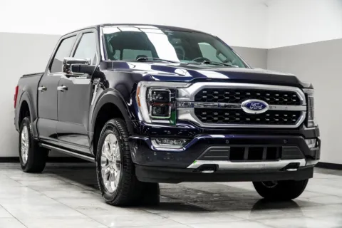 More photos of 2021 Ford F-150 Platinum at Carvilla, GA