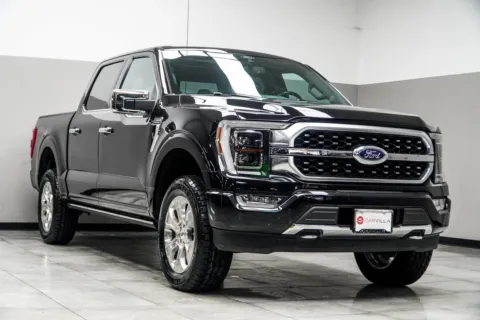 More photos of 2021 Ford F-150 Platinum at Carvilla, GA