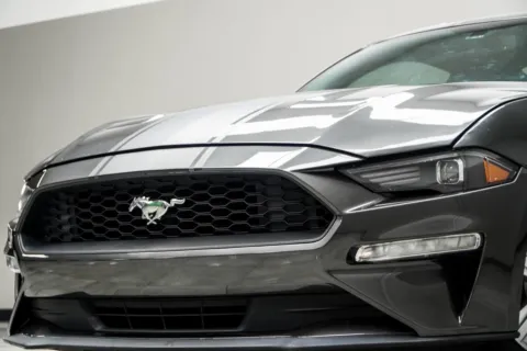 Photos of 2019 Ford Mustang EcoBoost for sale in Kennesaw, GA at Carvilla