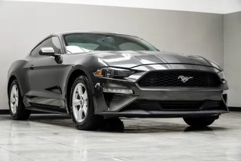 More photos of 2019 Ford Mustang EcoBoost at Carvilla, GA