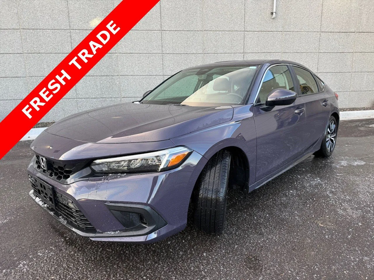 Purple 2024 Honda Civic Hatchback EX-L for sale in Twin Falls, ID