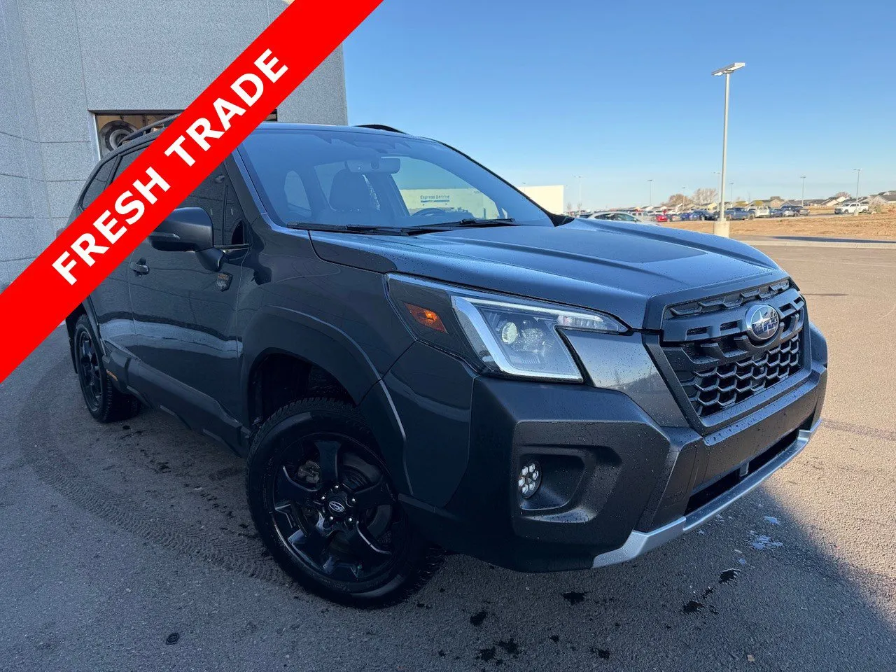 Gray 2023 Subaru Forester Wilderness for sale in Twin Falls, ID