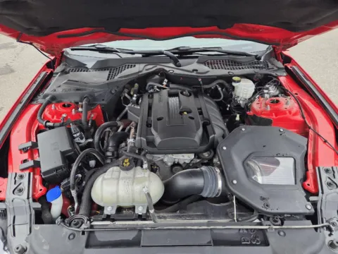 More photos of 2020 Ford Mustang EcoBoost at Capital City Motor Company, IA