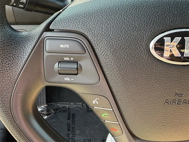 2017 Kia Forte LX Base photo 7
