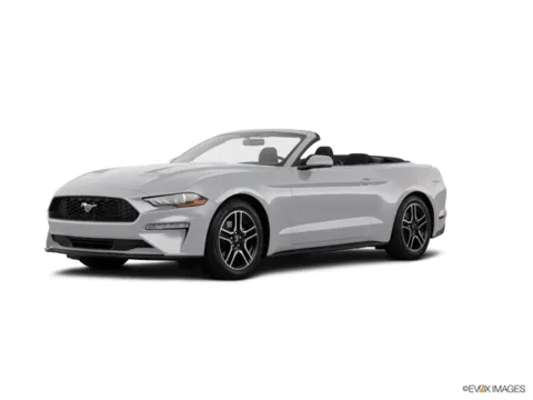 Silver 2019 Ford Mustang EcoBoost Premium for sale in Kansas City, MO