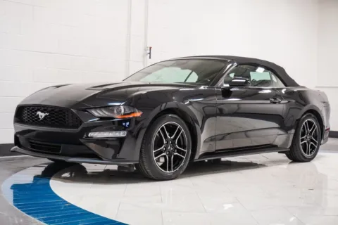 More photos of 2023 Ford Mustang EcoBoost Premium at Autoplex Atlanta, GA