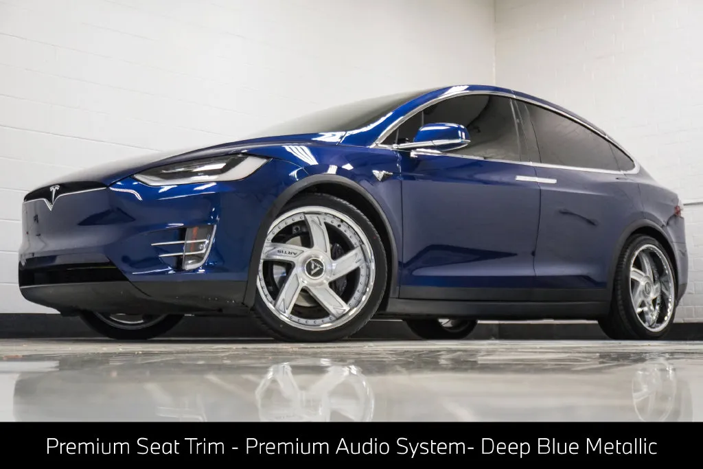 2020 Tesla Model X