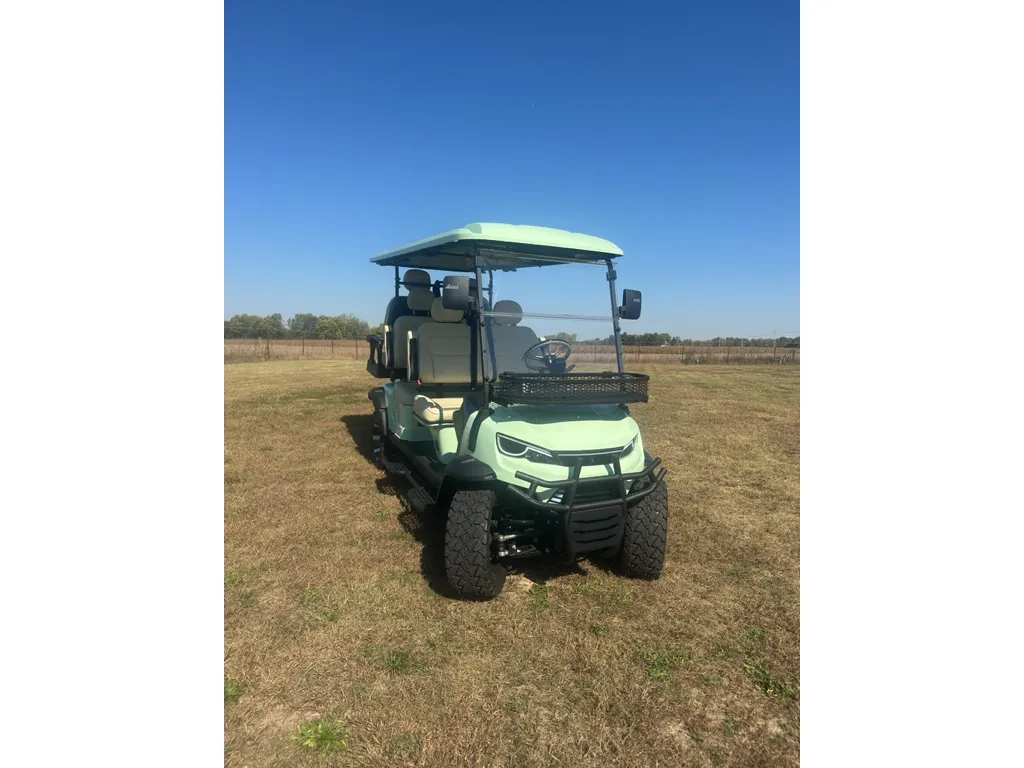 Green 2025 ROXIE H60LL LITHIUM for sale in Cicero, IN