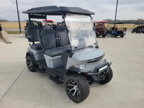Gray 2025 DENAGO Rover XL LITHIUM for sale in Cicero, IN
