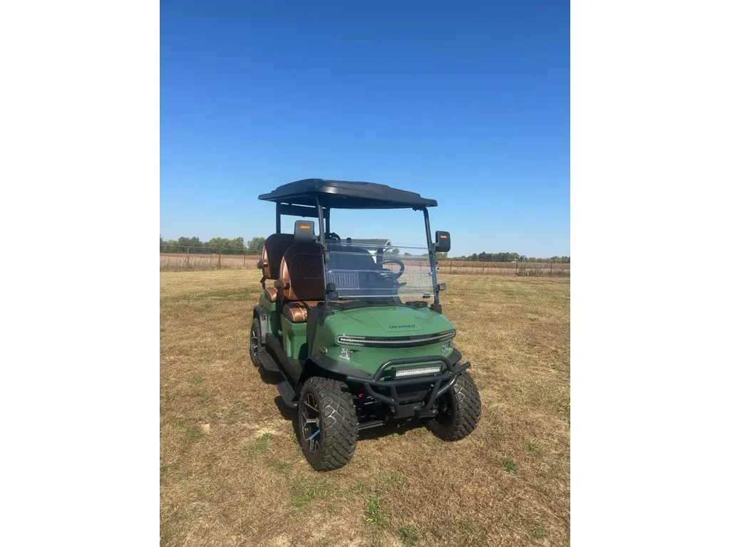 Green 2025 DENAGO Rover XL LITHIUM for sale in Cicero, IN