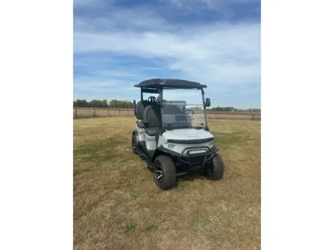 Gray 2025 DENAGO Rover XL LITHIUM for sale in Cicero, IN