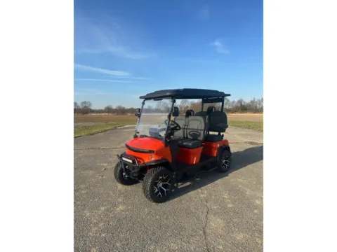 Unknown 2025 DENAGO Rover XL for sale in Cicero, IN