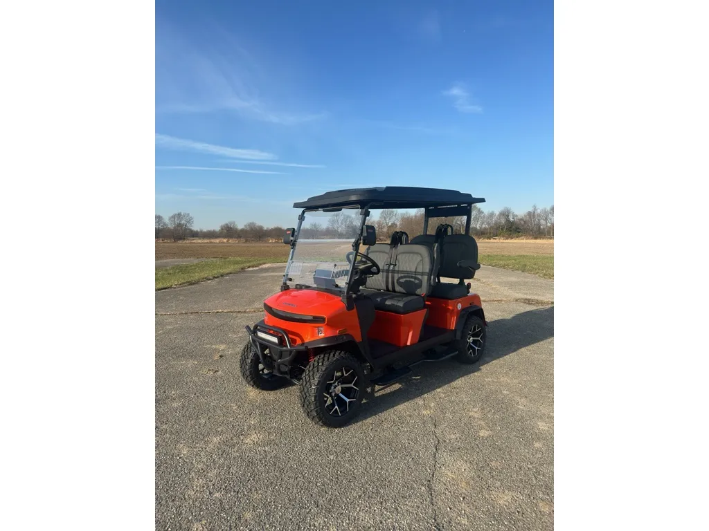 Unknown 2025 DENAGO Rover XL for sale in Cicero, IN