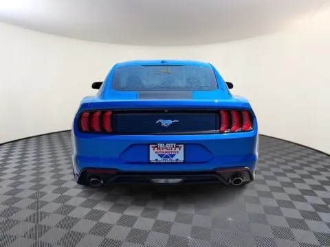 More photos of 2019 Ford Mustang EcoBoost at Tri-City KIA, NC