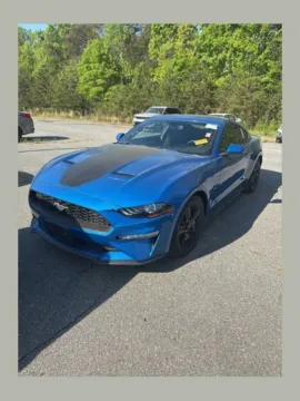 Blue 2019 Ford Mustang EcoBoost for sale in Eden, NC