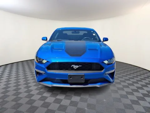 Photos of 2019 Ford Mustang EcoBoost for sale in Eden, NC at Tri-City KIA