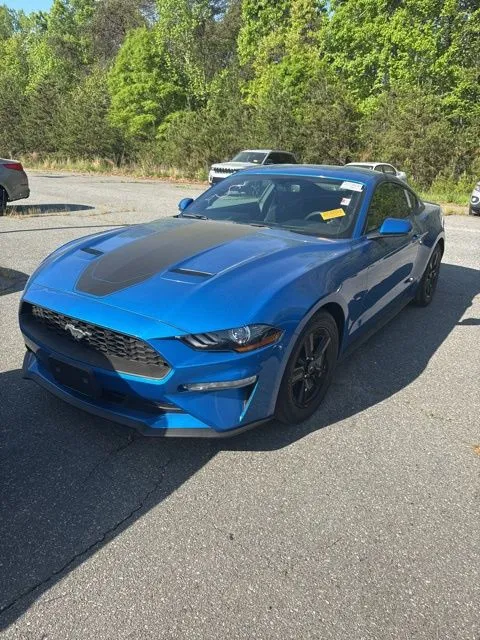 2019 Ford Mustang EcoBoost for sale in Eden, NC