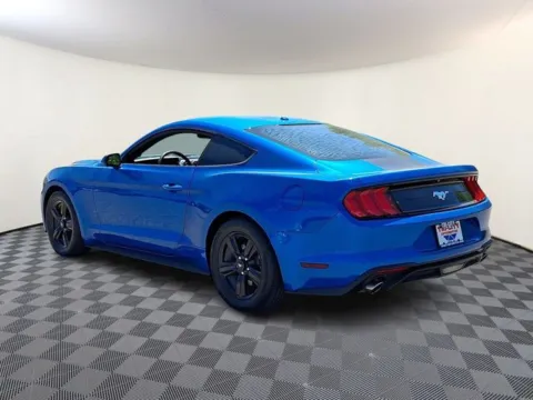 More photos of 2019 Ford Mustang EcoBoost at Tri-City KIA, NC