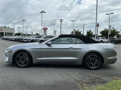 More photos of 2022 Ford Mustang EcoBoost Premium at Tri-City KIA, NC