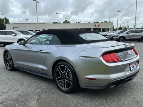 More photos of 2022 Ford Mustang EcoBoost Premium at Tri-City KIA, NC