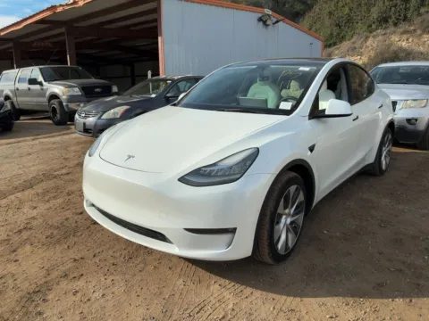 White 2021 Tesla Model Y Long Range for sale in Fishers, IN