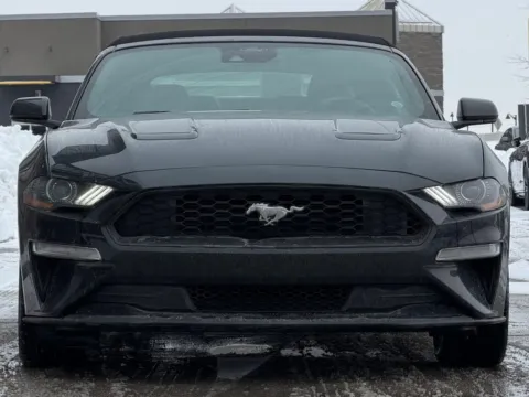 Photos of 2022 Ford Mustang EcoBoost Premium for sale in Fishers, IN at AutoGiant USA Fishers
