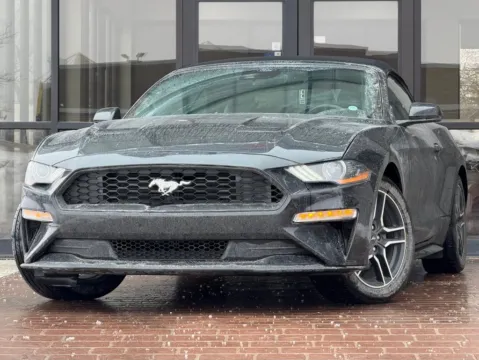 Black 2022 Ford Mustang EcoBoost Premium for sale in Fishers, IN