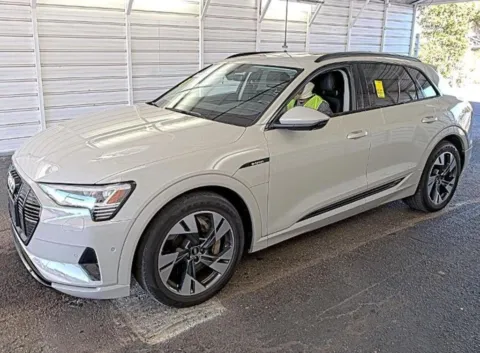 Beige 2021 Audi e-tron Premium for sale in Fishers, IN