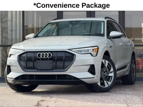 Beige 2021 Audi e-tron Premium for sale in Fishers, IN