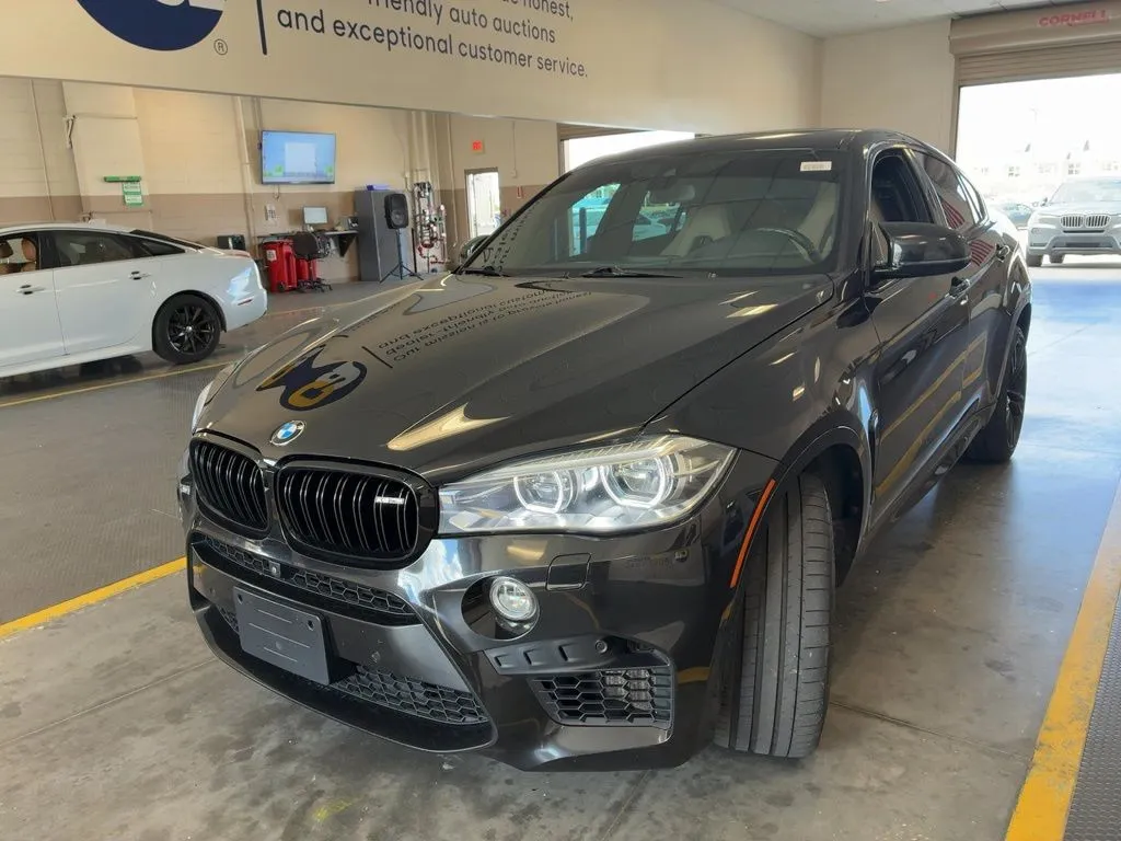Black 2019 BMW X6 M for sale in Fishers, IN
