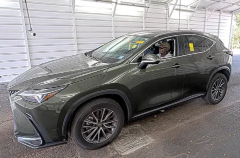 Green 2022 Lexus NX 350 Premium for sale in Fishers, IN