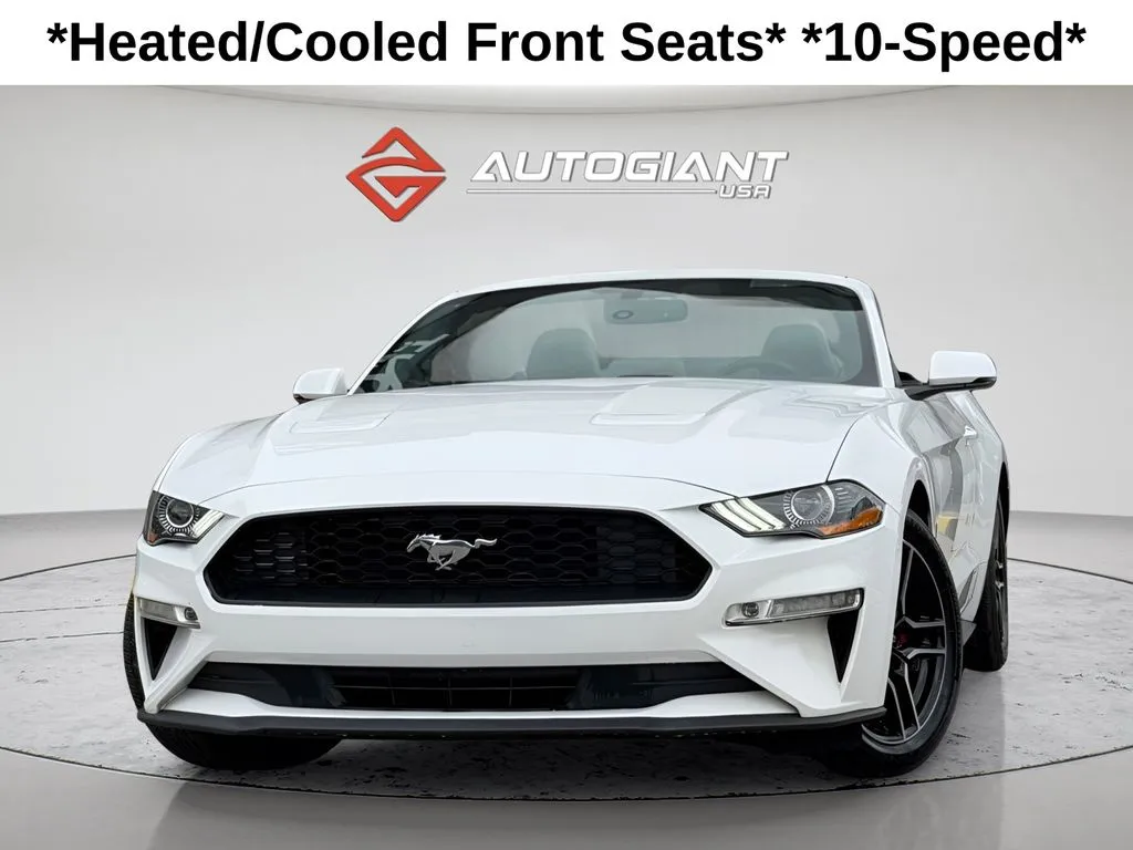 2019 Ford Mustang