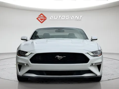 Another view of 2019 Ford Mustang EcoBoost Premium for sale in Fishers, IN at AutoGiant USA Fishers