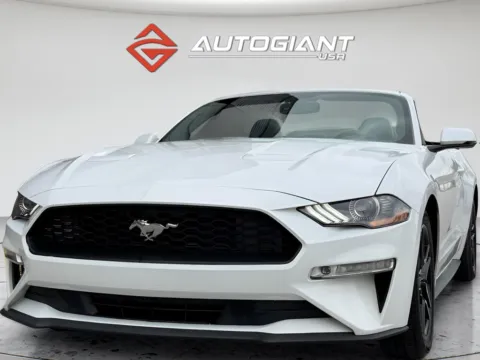 More photos of 2019 Ford Mustang EcoBoost Premium at AutoGiant USA Fishers, IN