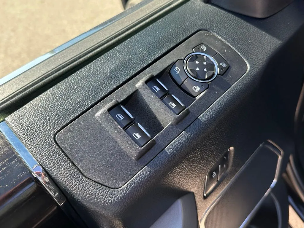 2019 Ford F-150 Platinum photo 4