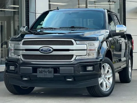 Black 2019 Ford F-150 Platinum for sale in Fishers, IN