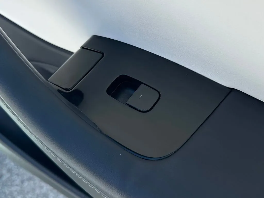 2020 Tesla Model 3 Standard Range Plus photo 31