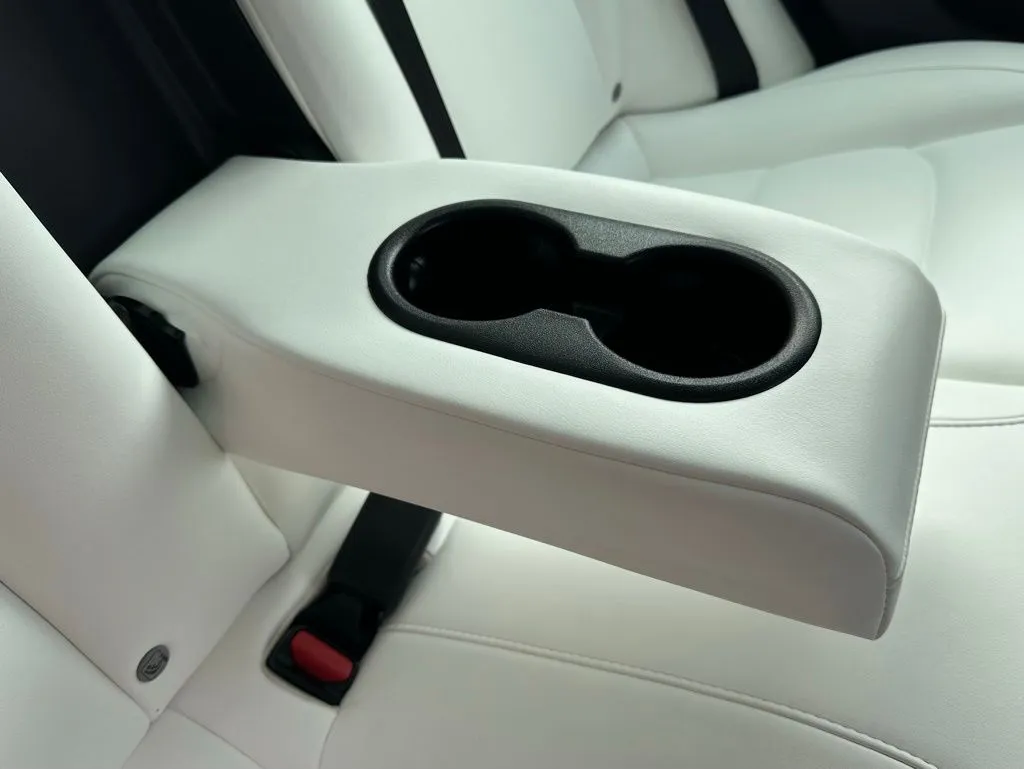 2022 Tesla Model 3 Performance photo 31