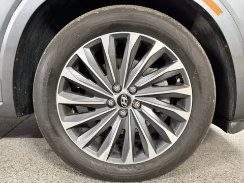 More photos of 2024 Hyundai Palisade Calligraphy at Automotive Imports Sales & Service, CO