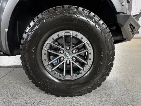 More photos of 2019 Ford F-150 Raptor at Automotive Imports Sales & Service, CO