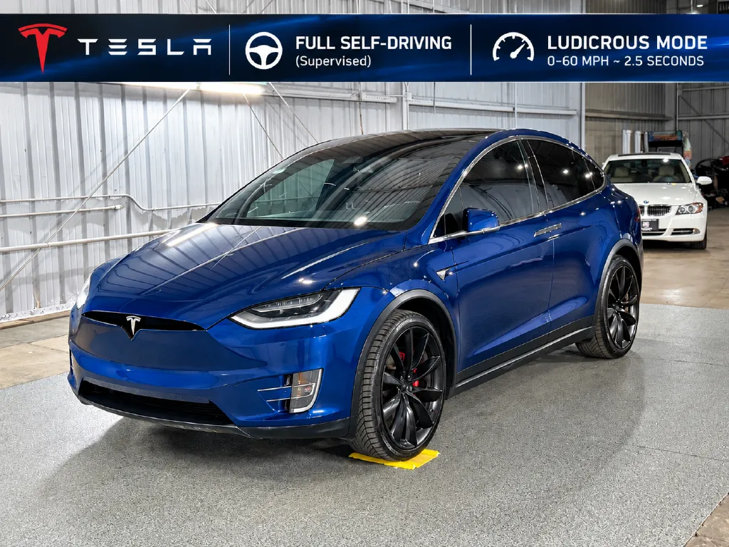 2020 Tesla Model X
