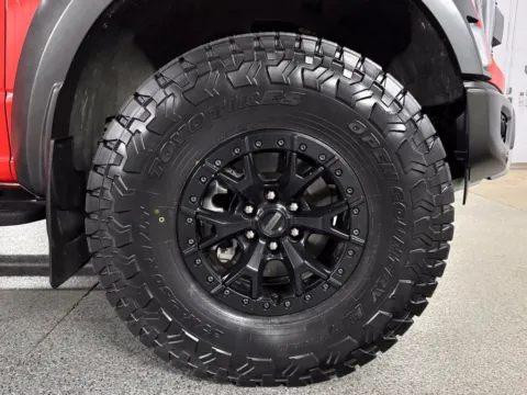 More photos of 2023 Ford F-150 Raptor at Automotive Imports Sales & Service, CO