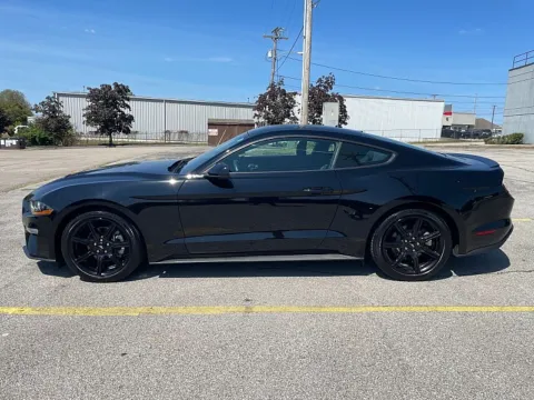 More photos of 2020 Ford Mustang 2d Fastback Eco at EZ Car Connection, KY