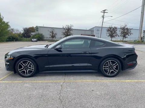 Another view of 2019 Ford Mustang 2d Fastback EcoBoost for sale in Frankfort, KY at EZ Car Connection