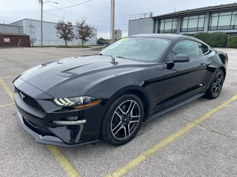 More photos of 2019 Ford Mustang 2d Fastback EcoBoost at EZ Car Connection, KY