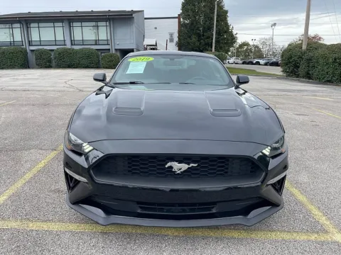 Photos of 2019 Ford Mustang 2d Fastback EcoBoost for sale in Frankfort, KY at EZ Car Connection